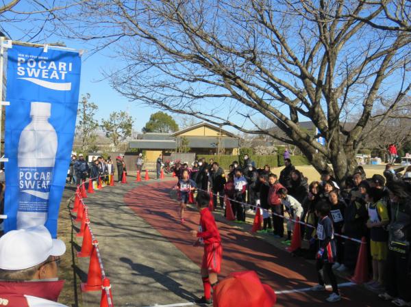 駅伝・マラソン大会(4) 駅伝・マラソン大会(4)