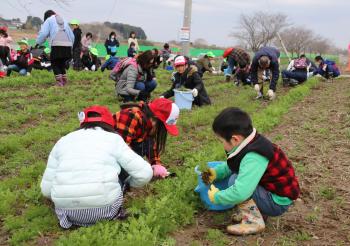 鬼怒フラワーライン草取り交流会