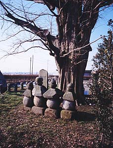 小島草庵跡 （市指定文化財）