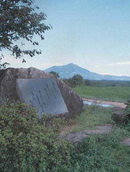 横瀬夜雨詩碑