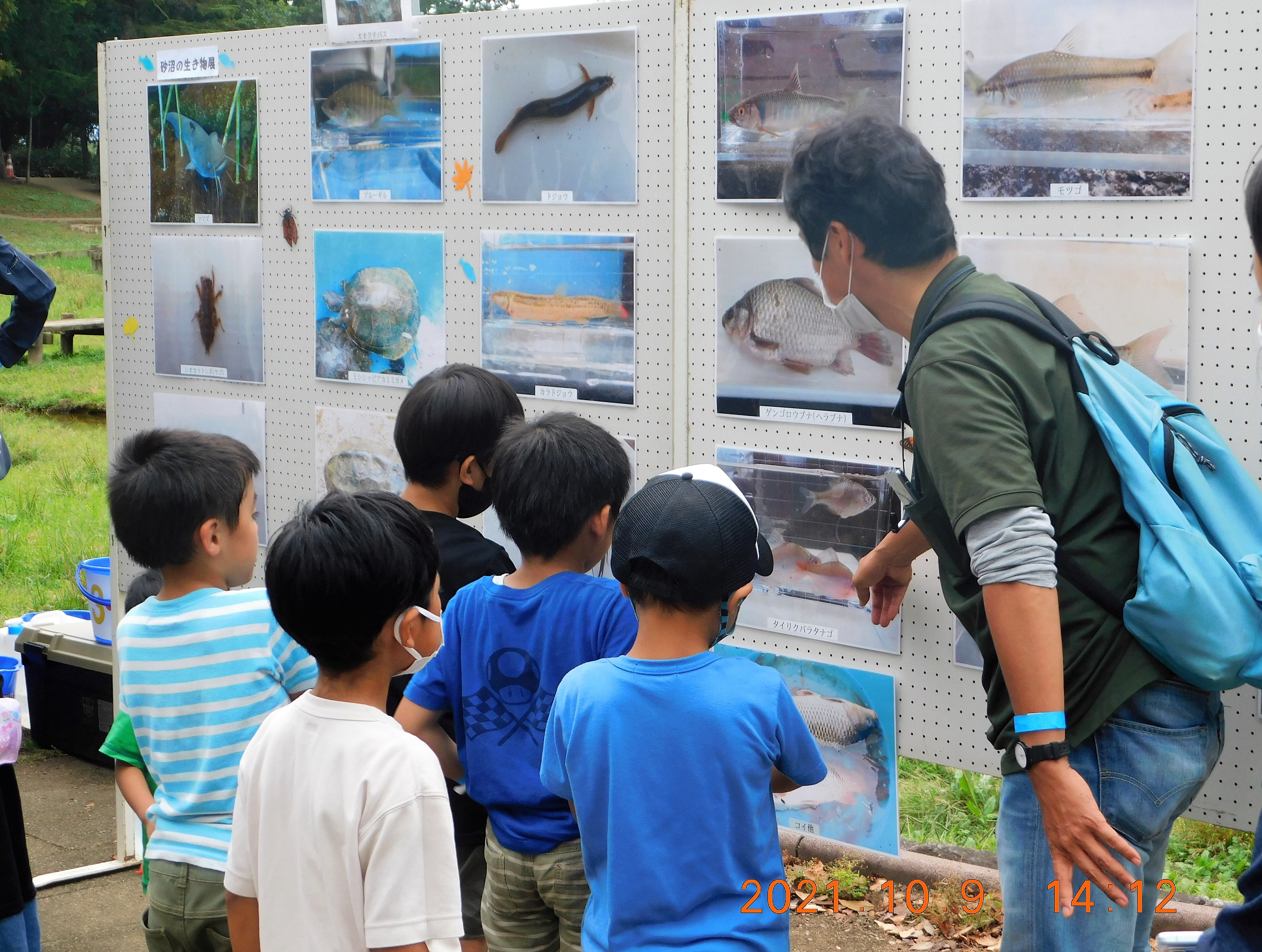 3生き物パネル展