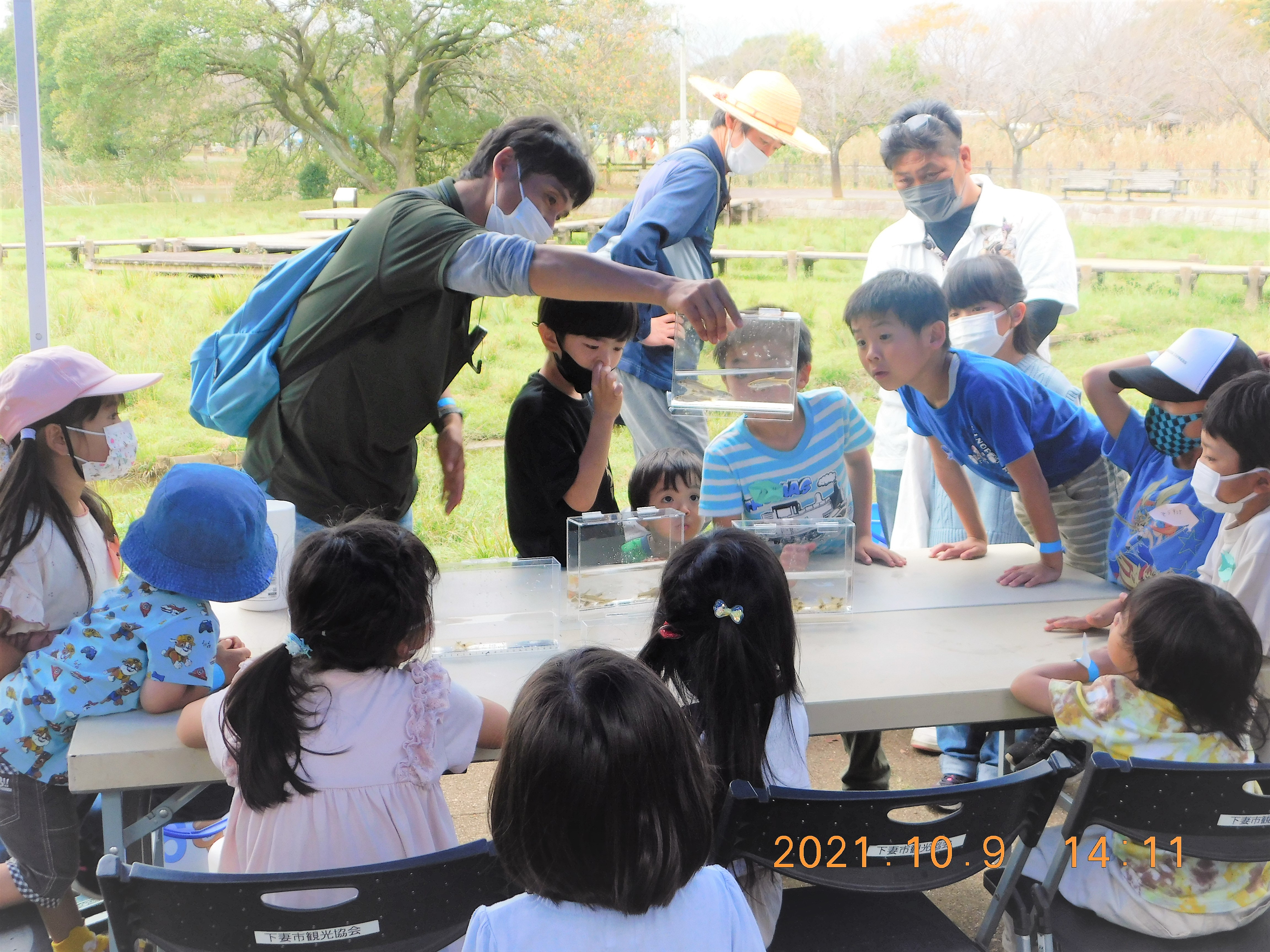 5-4 生き物調査観（観察）