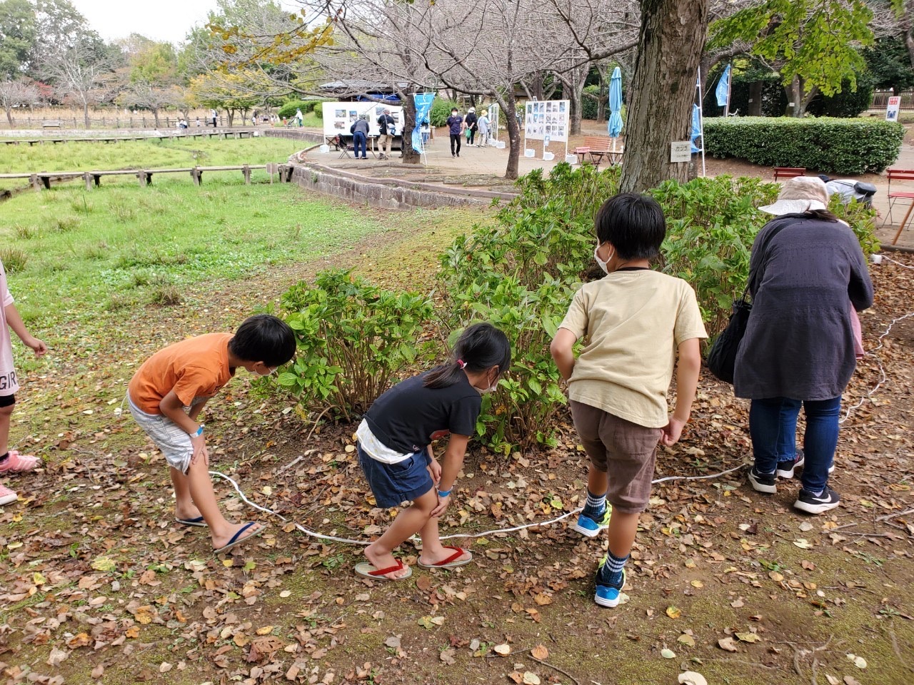 7カモフラージュゲーム