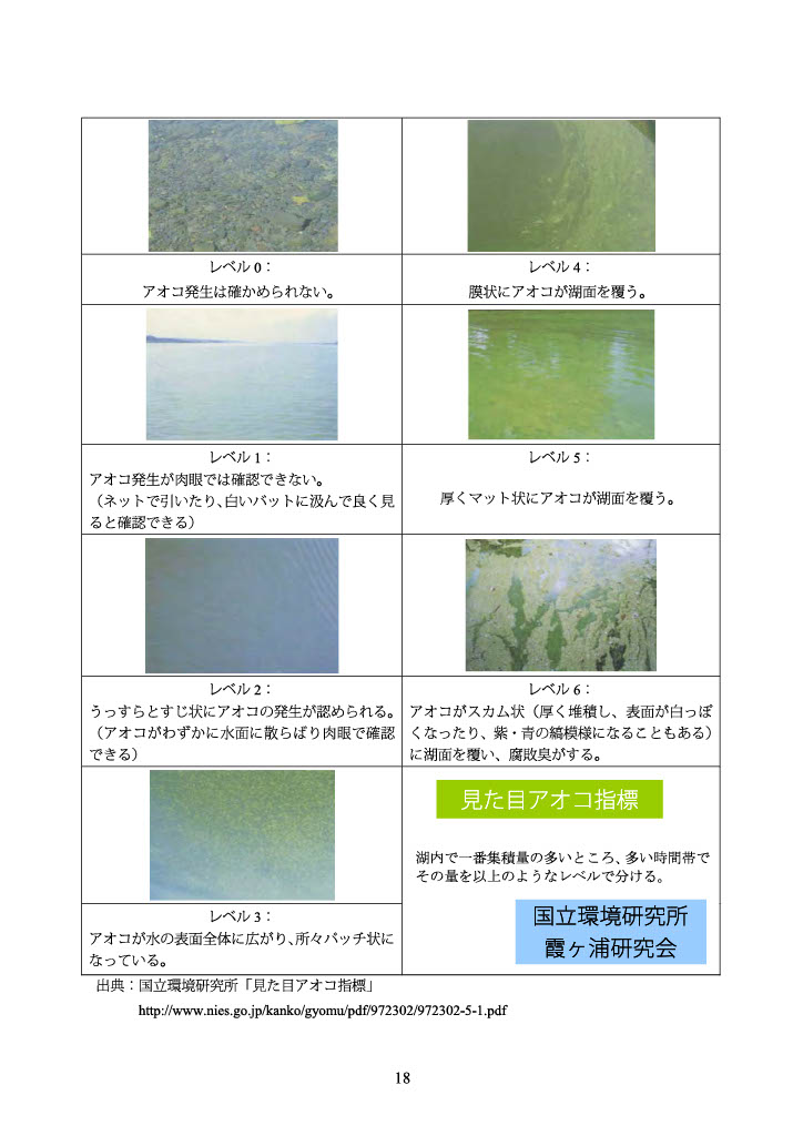 アオコ指標