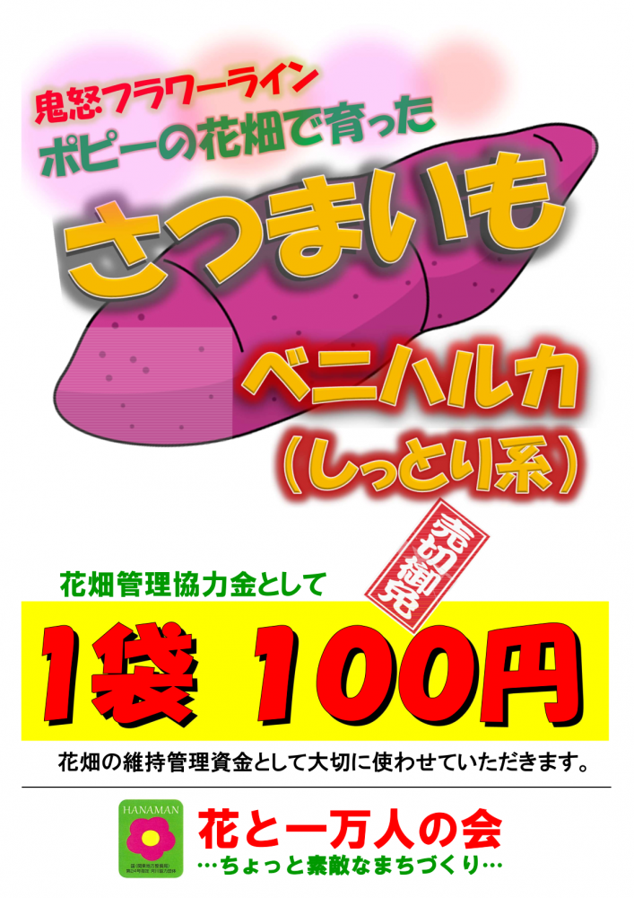 花万ポップ 紅はるか