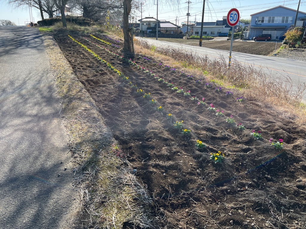 比毛花の会2