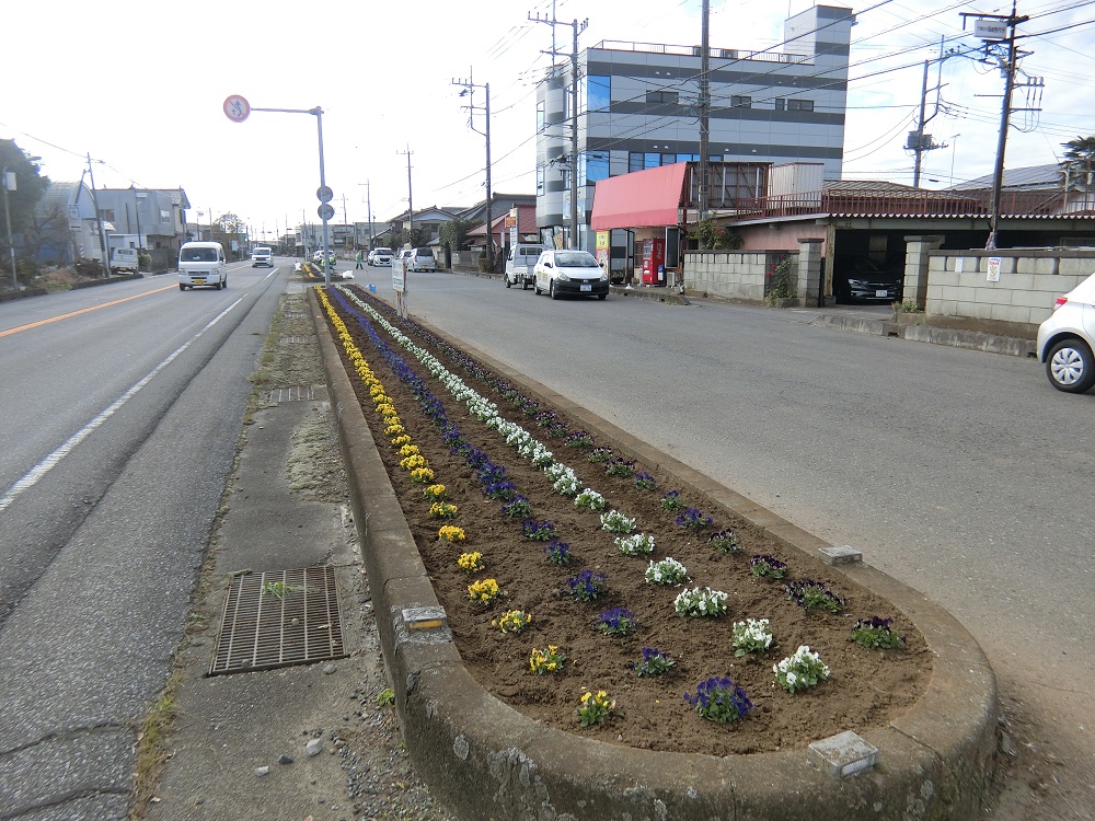 花ボラ(騰波ノ江)