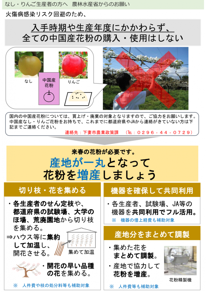 生産者あて啓発チラシ（花粉利用自粛、共同調製）