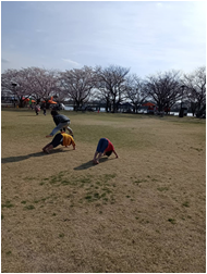 観桜苑と馬跳び