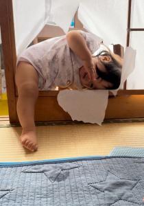 写真(4)