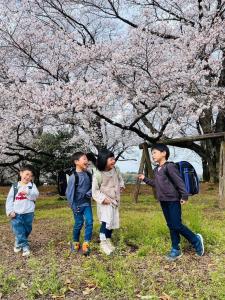 写真(5)