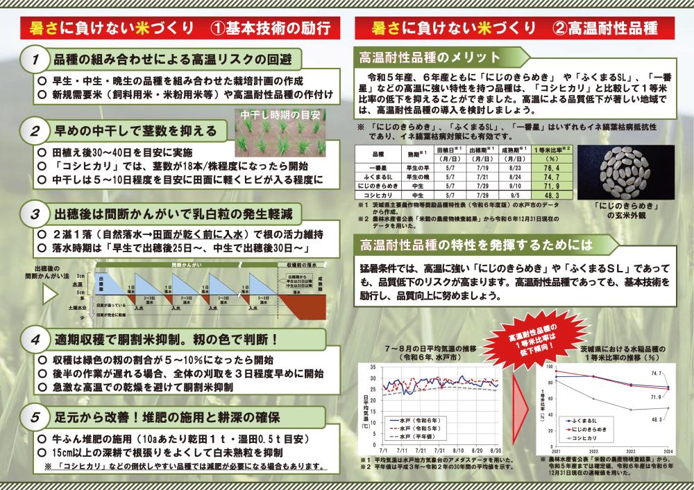 暑さに負けない米づくり 2