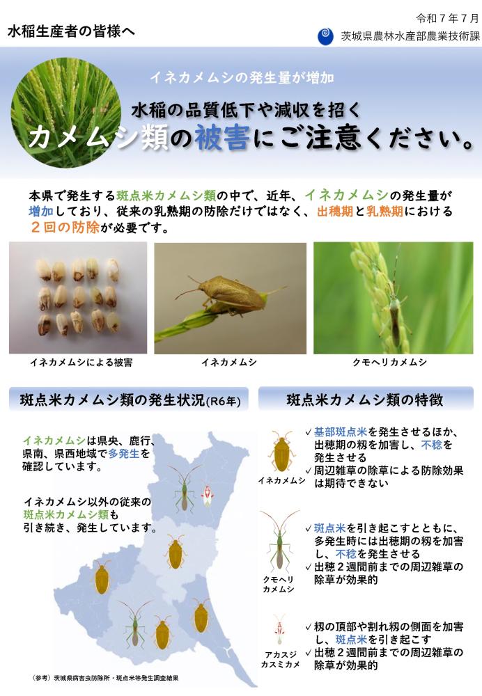 02_水稲における斑点米カメムシ類の防除対策のチラシ_1