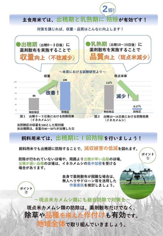 02_水稲における斑点米カメムシ類の防除対策のチラシ_2