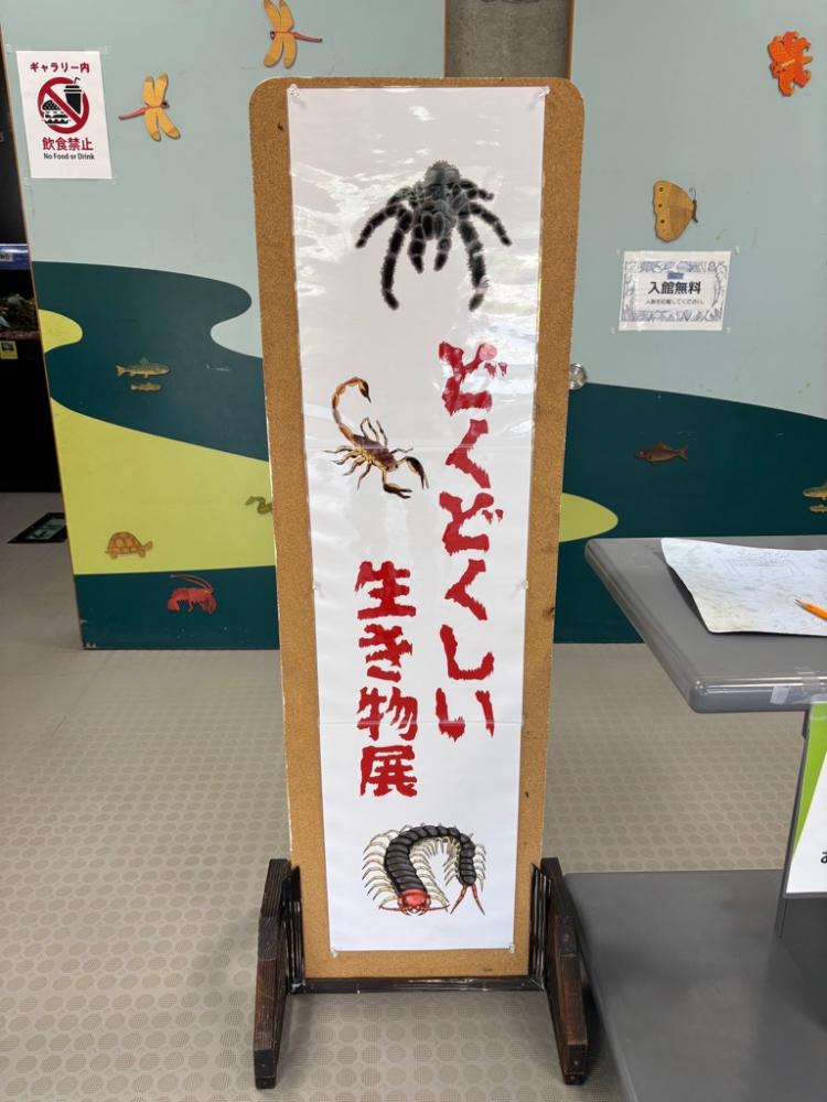 ネイチャーセンターR7夏休み企画展