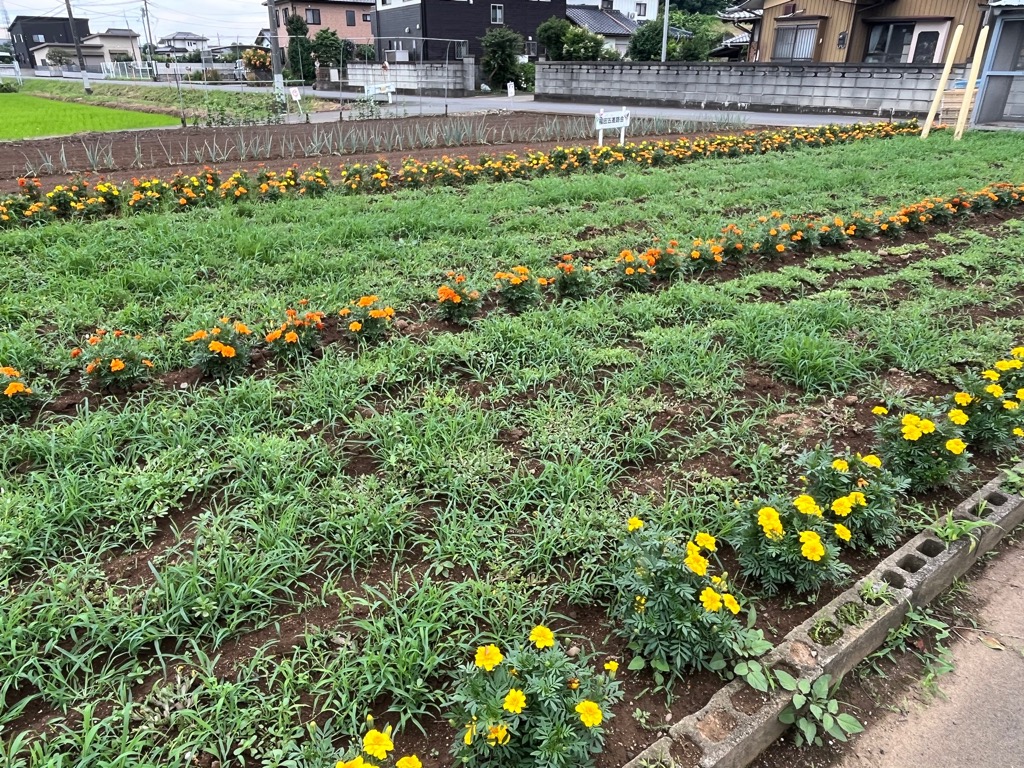 福田五差路会2
