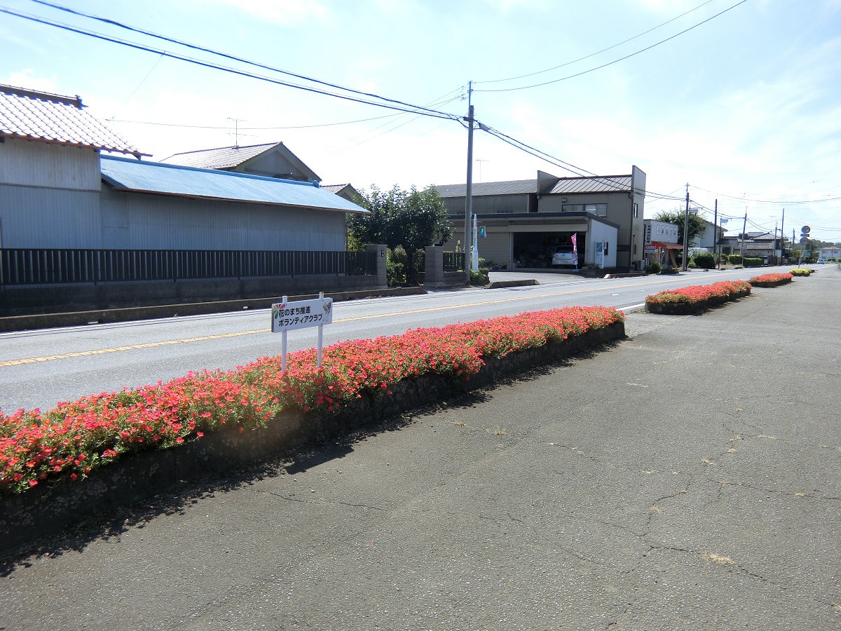 花ボラ(騰波ノ江)