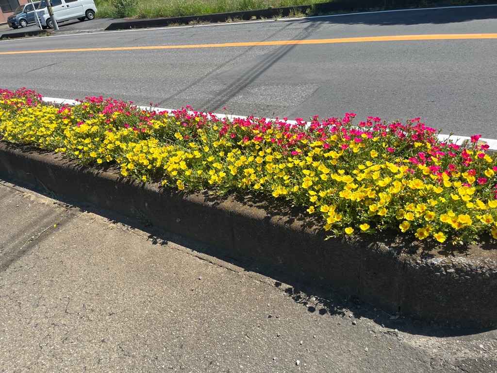 下妻市花のまちボランティアクラブ(北大宝)