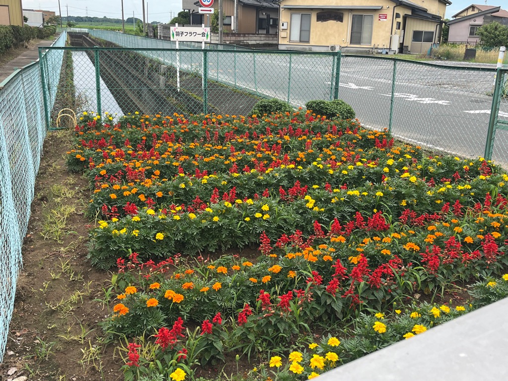 羽子フラワー会1