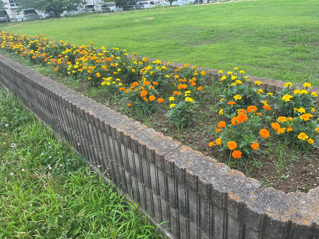 マルニカレッジ2
