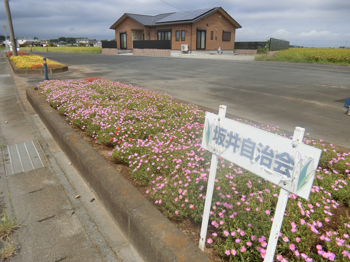 坂井自治会1