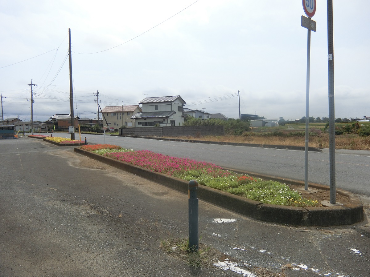 坂井自治会2