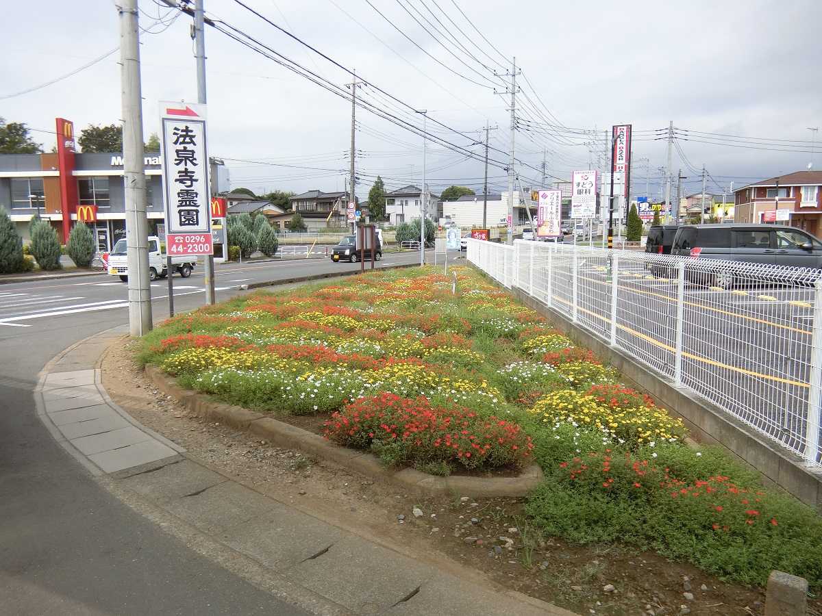 小野子花の会1