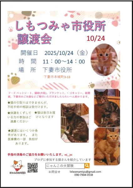 2025年10月24日譲渡会チラシ