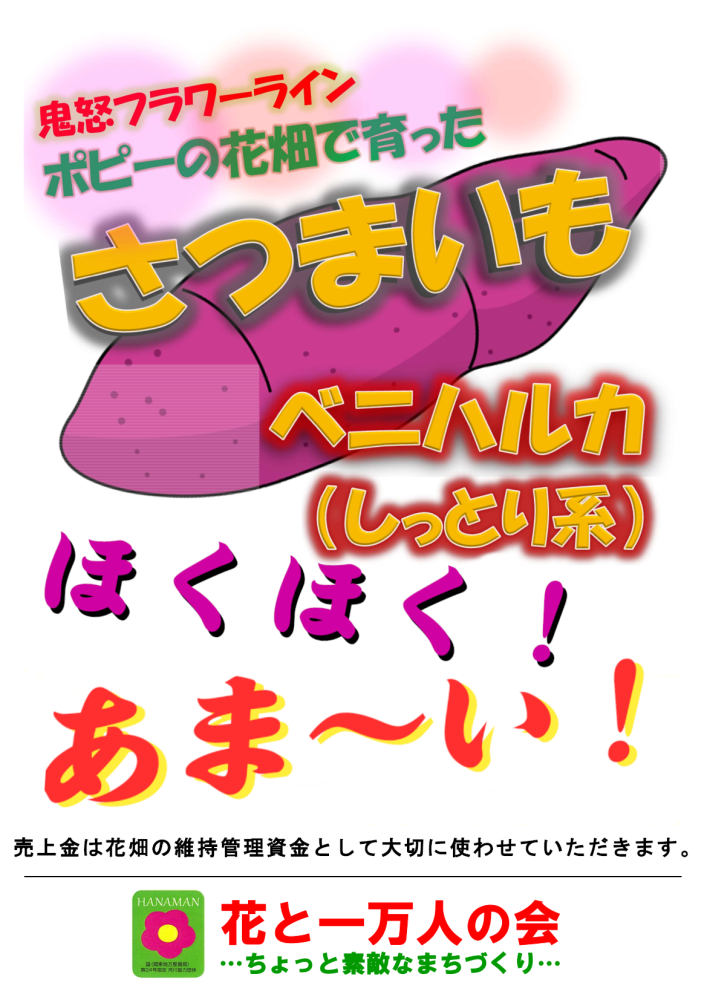 花万ポップ 紅はるか（値段抜き）
