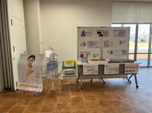 女性に対する暴力をなくす運動展示