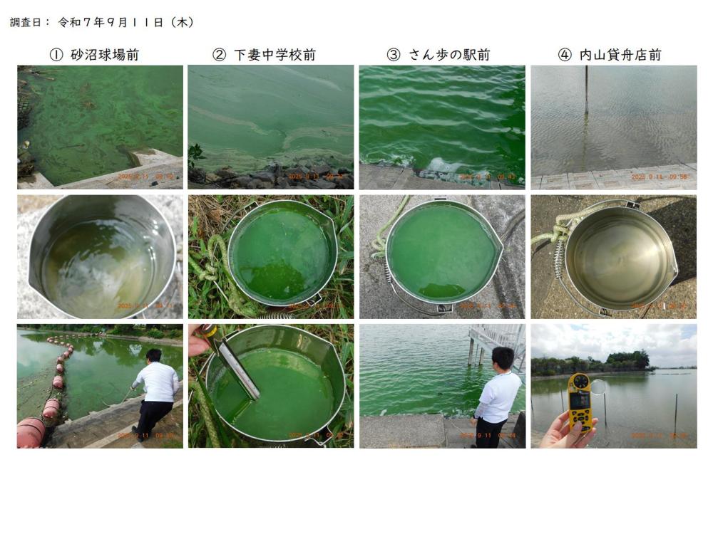 r7年度 見た目アオコ調査4(r7.9.11)2 