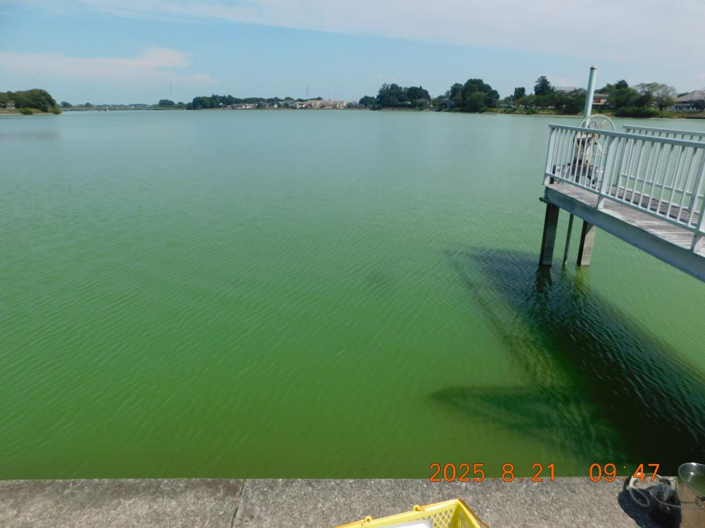 r7.8.21_$b-#$sjb$n(b$b1xa0(b1