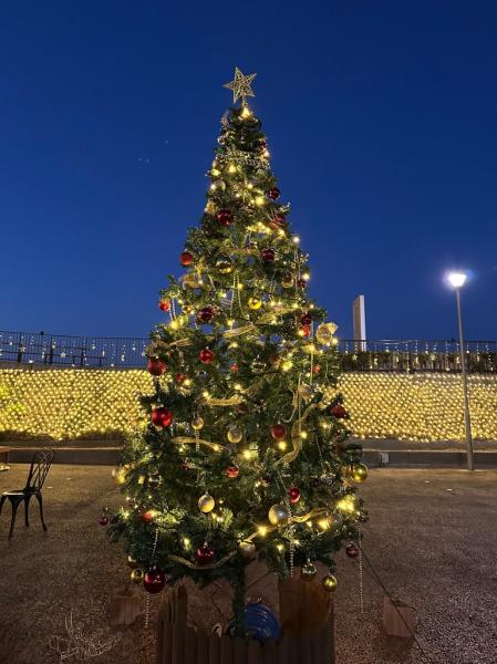 クリスマスツリー写真