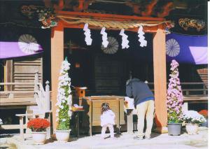 フォトコンテスト　⑥佳作