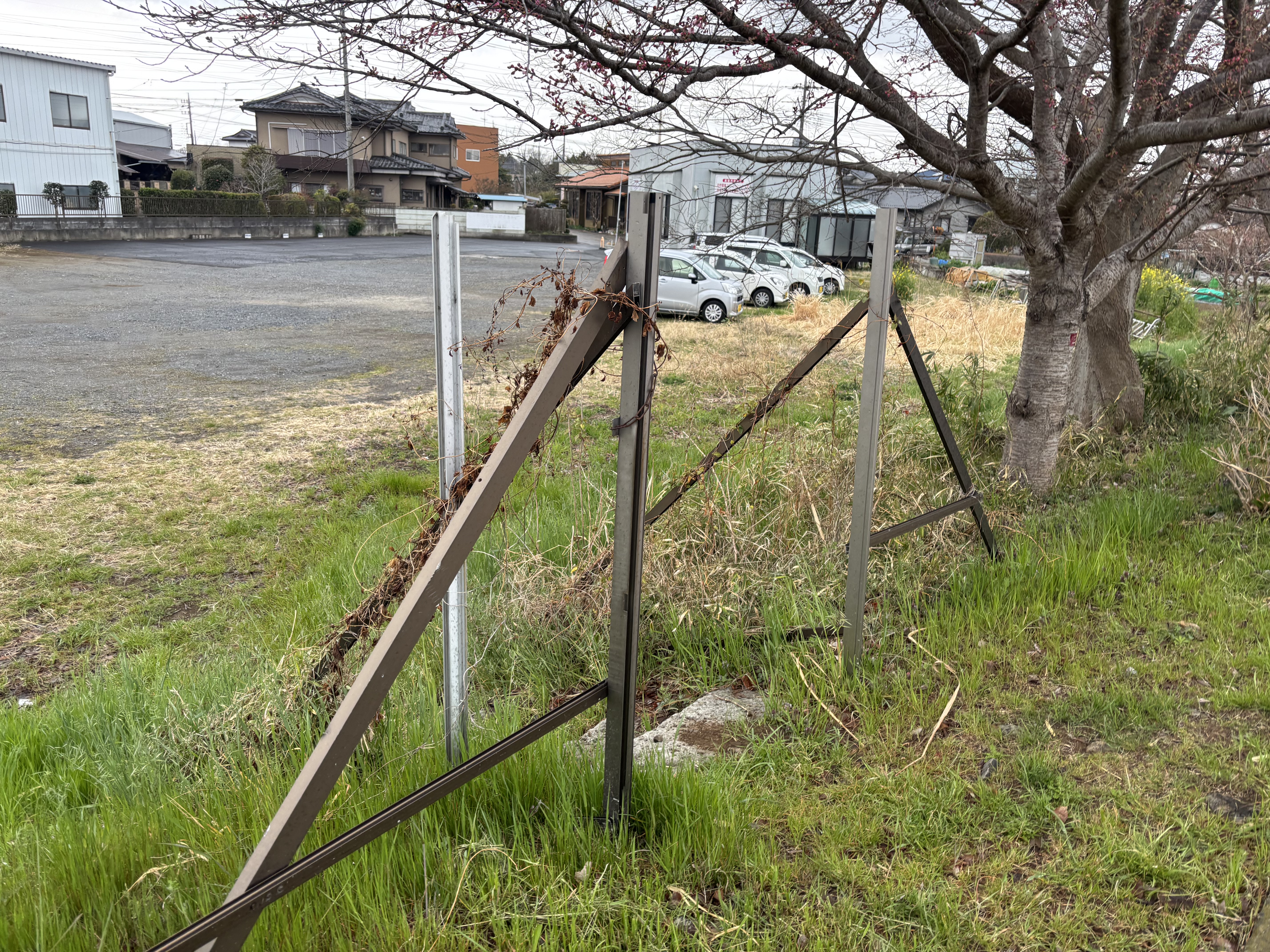 フィールドワーク(2)