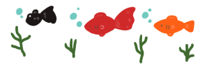金魚