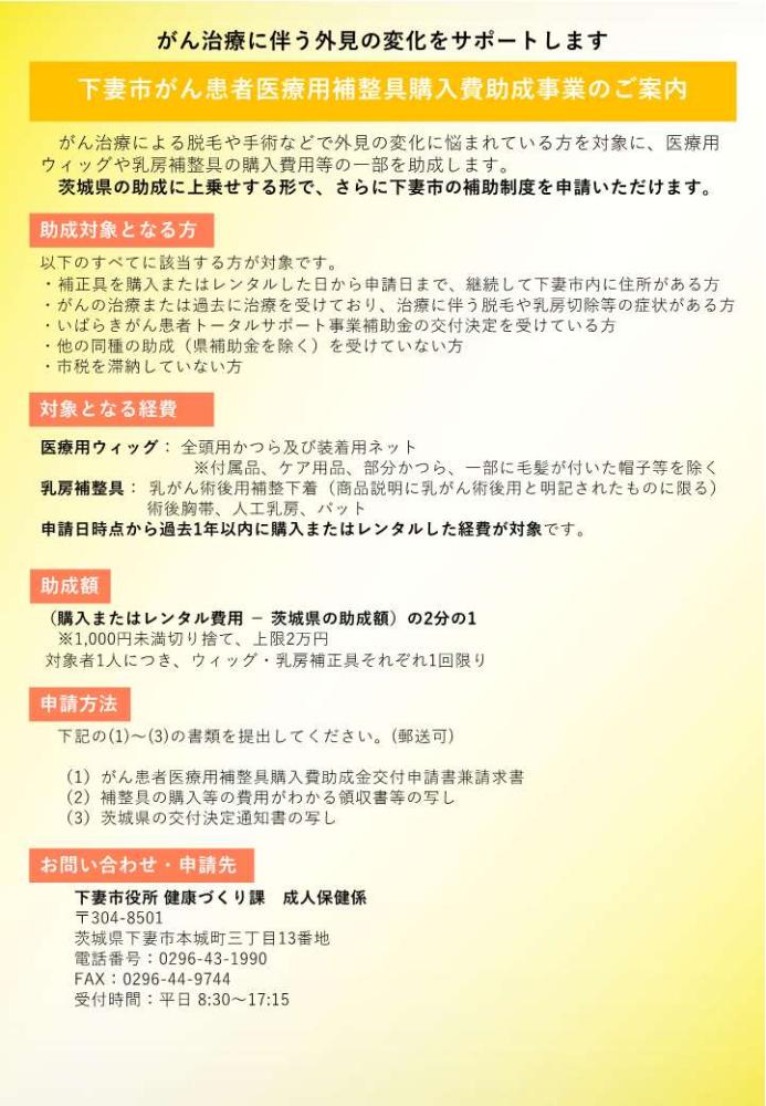案内チラシ
