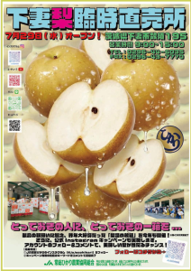 梨臨時直売所画像