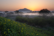 芽吹く大地