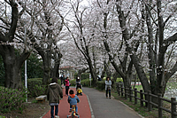 砂沼広域公園01