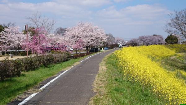 サイクリングロード2