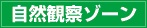 自然観察