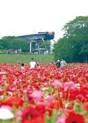 小貝川ふれあい公園 下妻市公式ホームページ