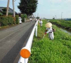 除草作業