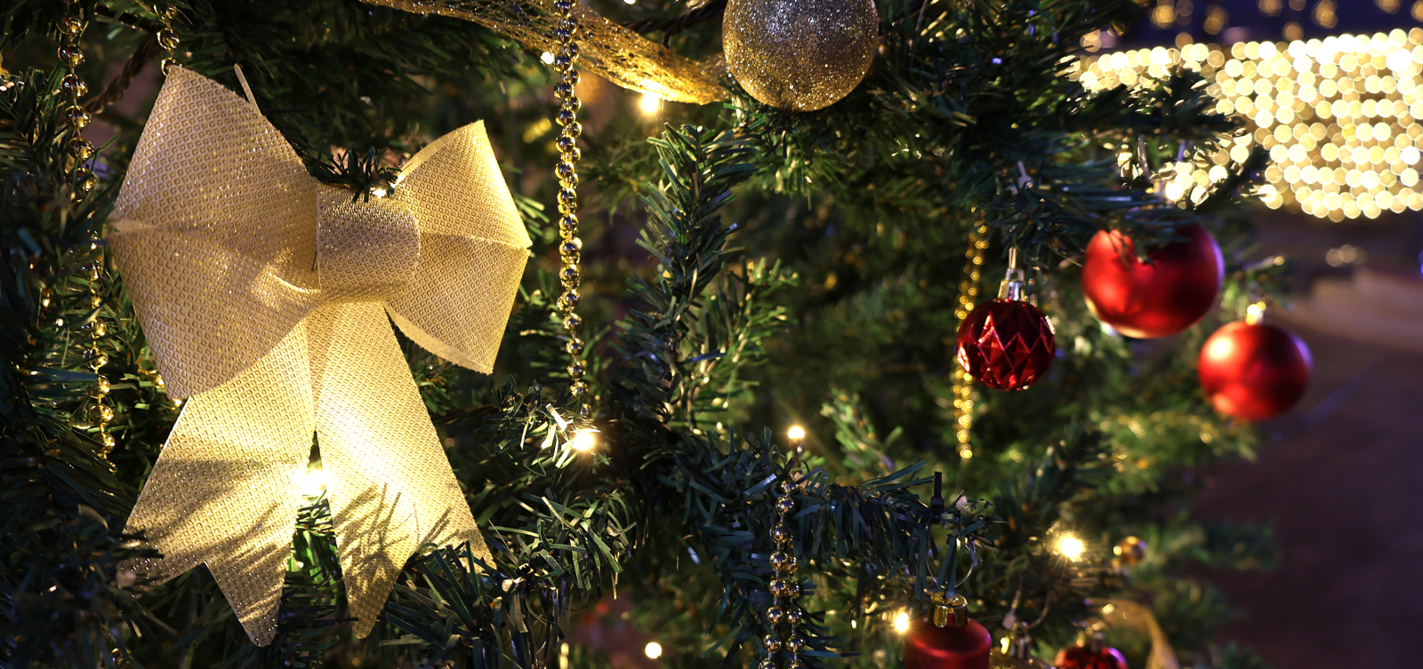 さんぽの駅イルミネーション①