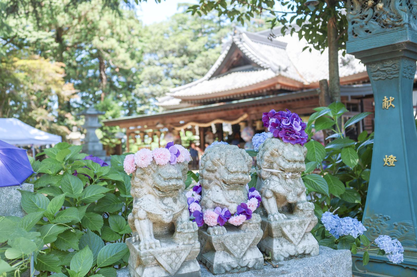 R8大宝八幡宮　あじさい
